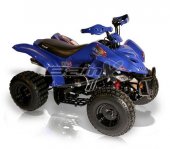 2010 BamX BX110-S Tracker photo